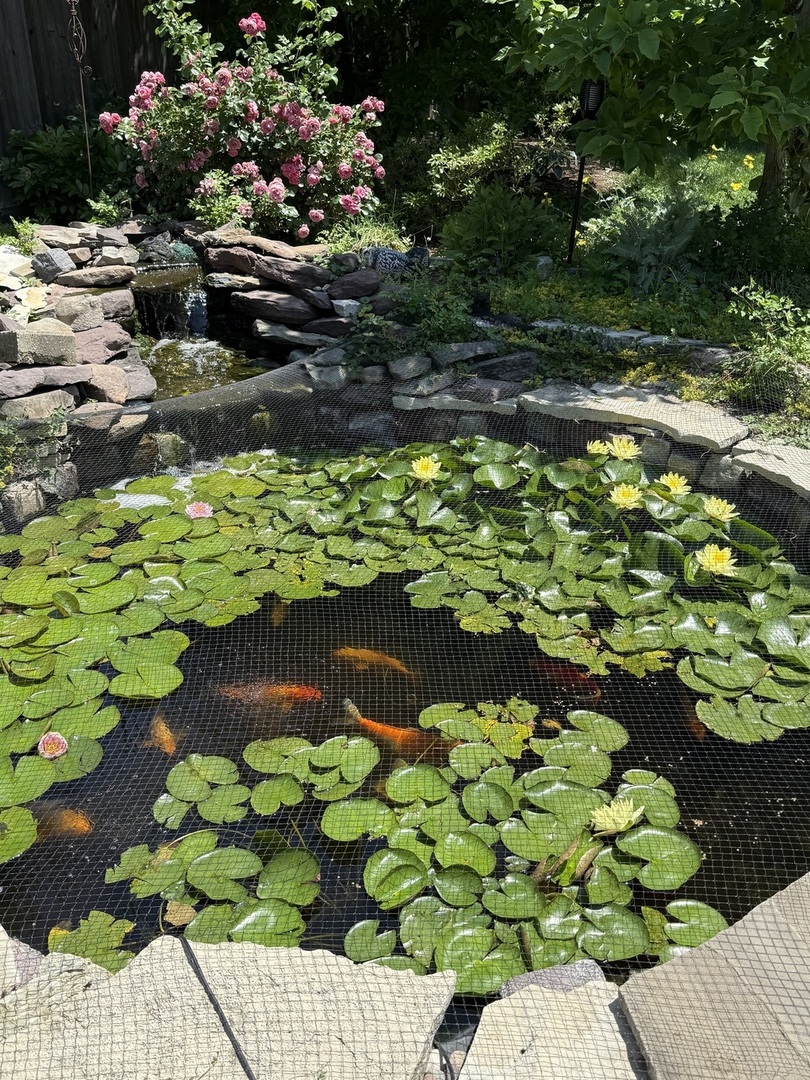 739 Meadow Lane Barrington, IL 60010 - Photo 26 of 40