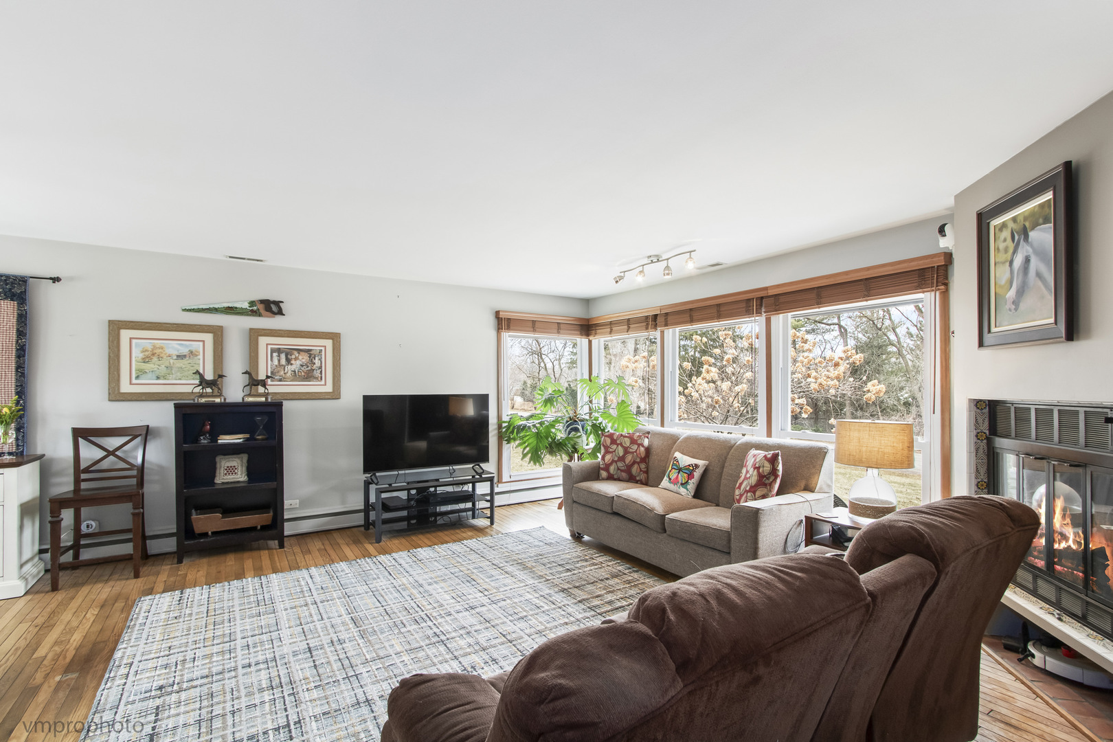 739 Meadow Lane Barrington, IL 60010 - Photo 3 of 40