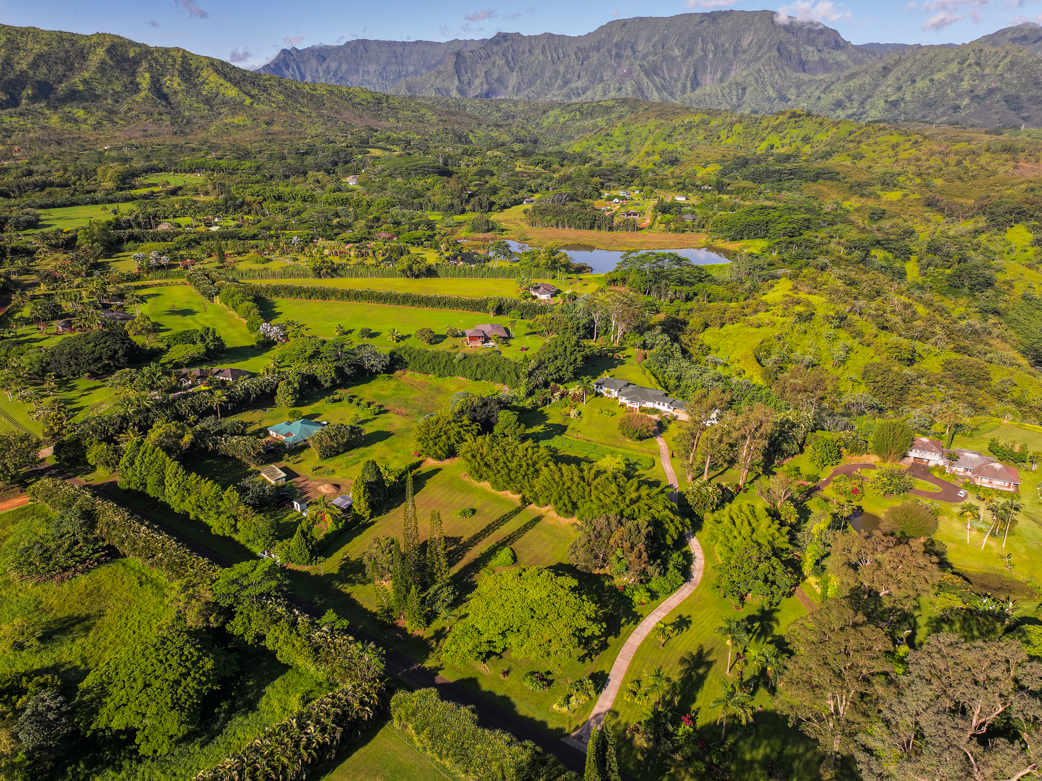 Kahiliholo Road Kilauea, HI 96754 - Photo 13 of 14