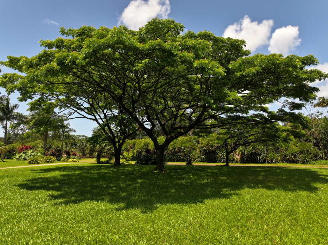 Kahiliholo Road Kilauea, HI 96754 - Photo 3 of 14