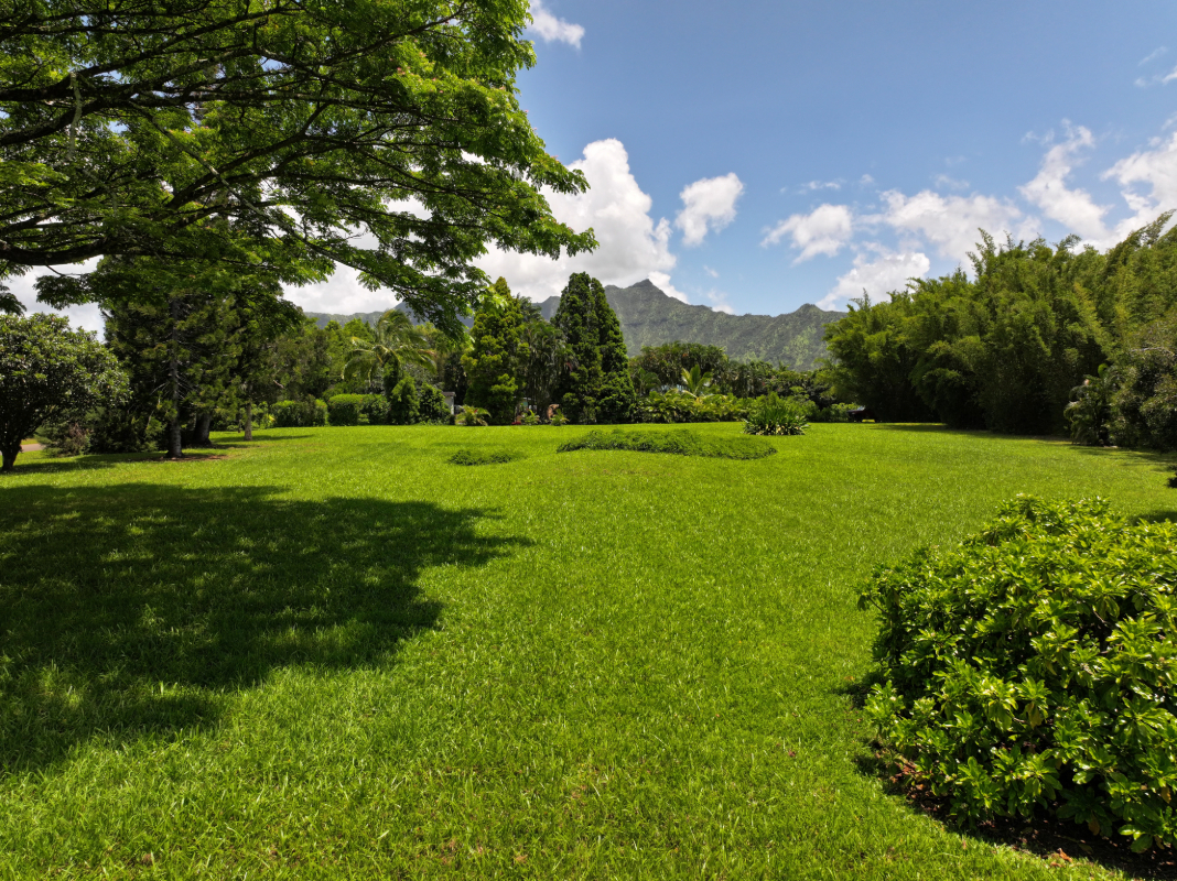Kahiliholo Road Kilauea, HI 96754 - Photo 6 of 14