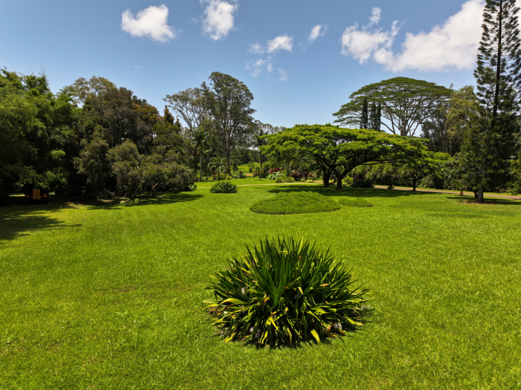 Kahiliholo Road Kilauea, HI 96754 - Photo 7 of 14