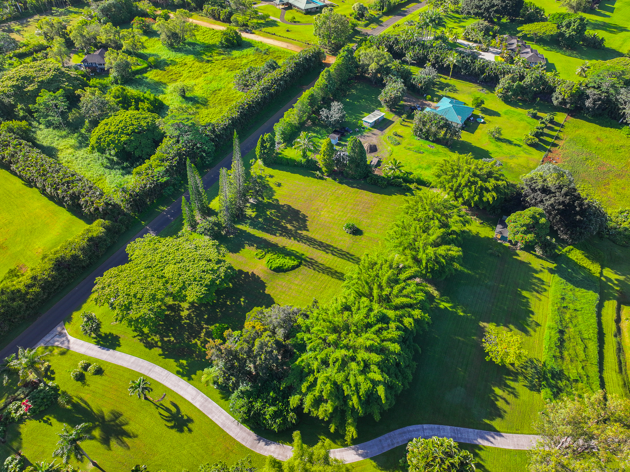 Kahiliholo Road Kilauea, HI 96754 - Photo 8 of 14