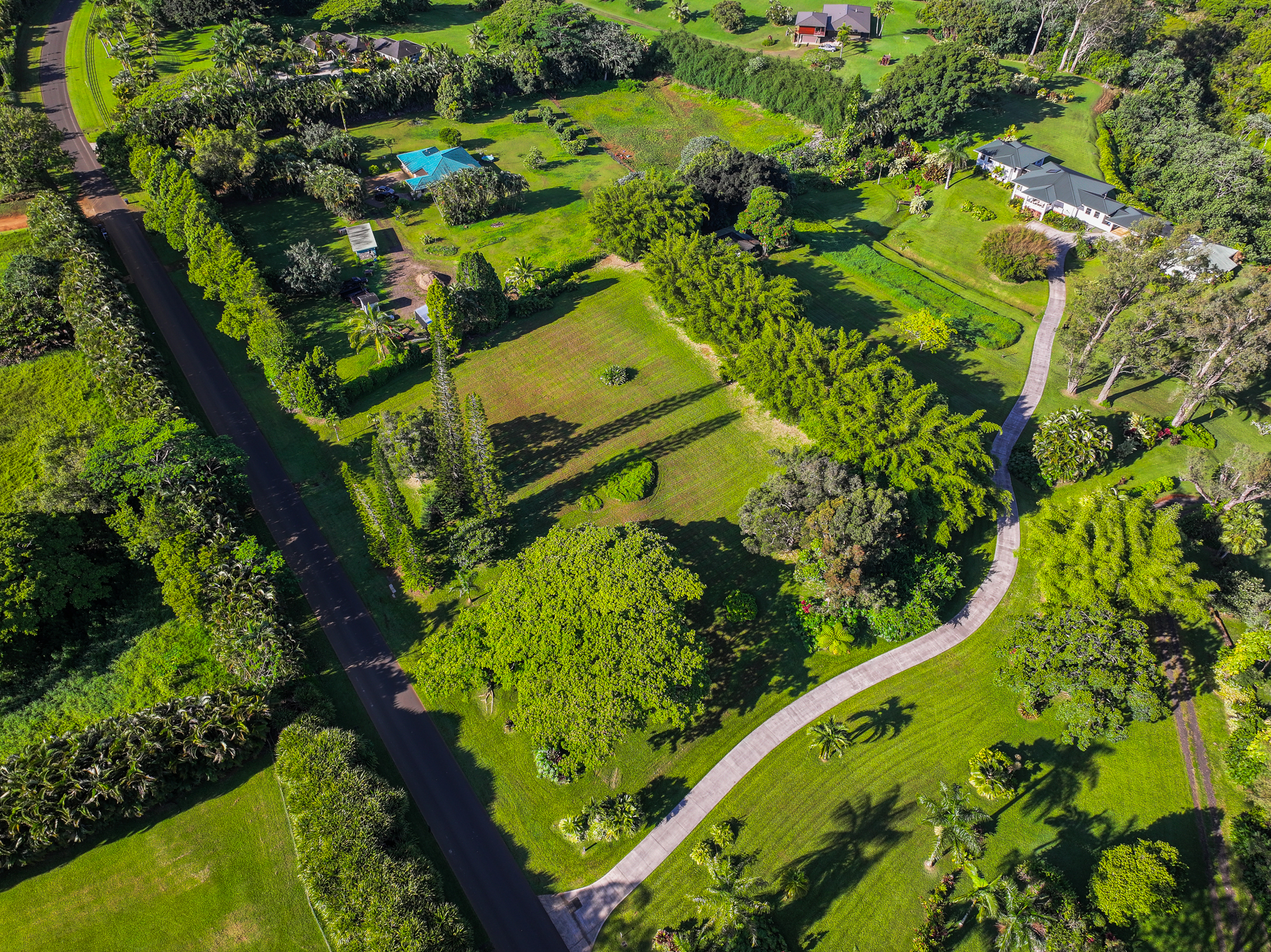 Kahiliholo Road Kilauea, HI 96754 - Photo 10 of 14