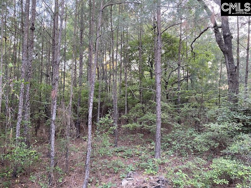 1155 Jones-Wire Road Swansea, SC 29160 - Photo 3 of 6