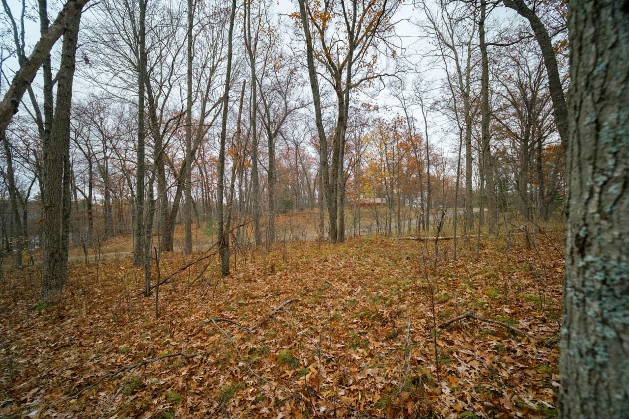 11 Hunters Ridge Drive Irons, MI 49644 - Photo 35 of 38 1895563-34.JPG