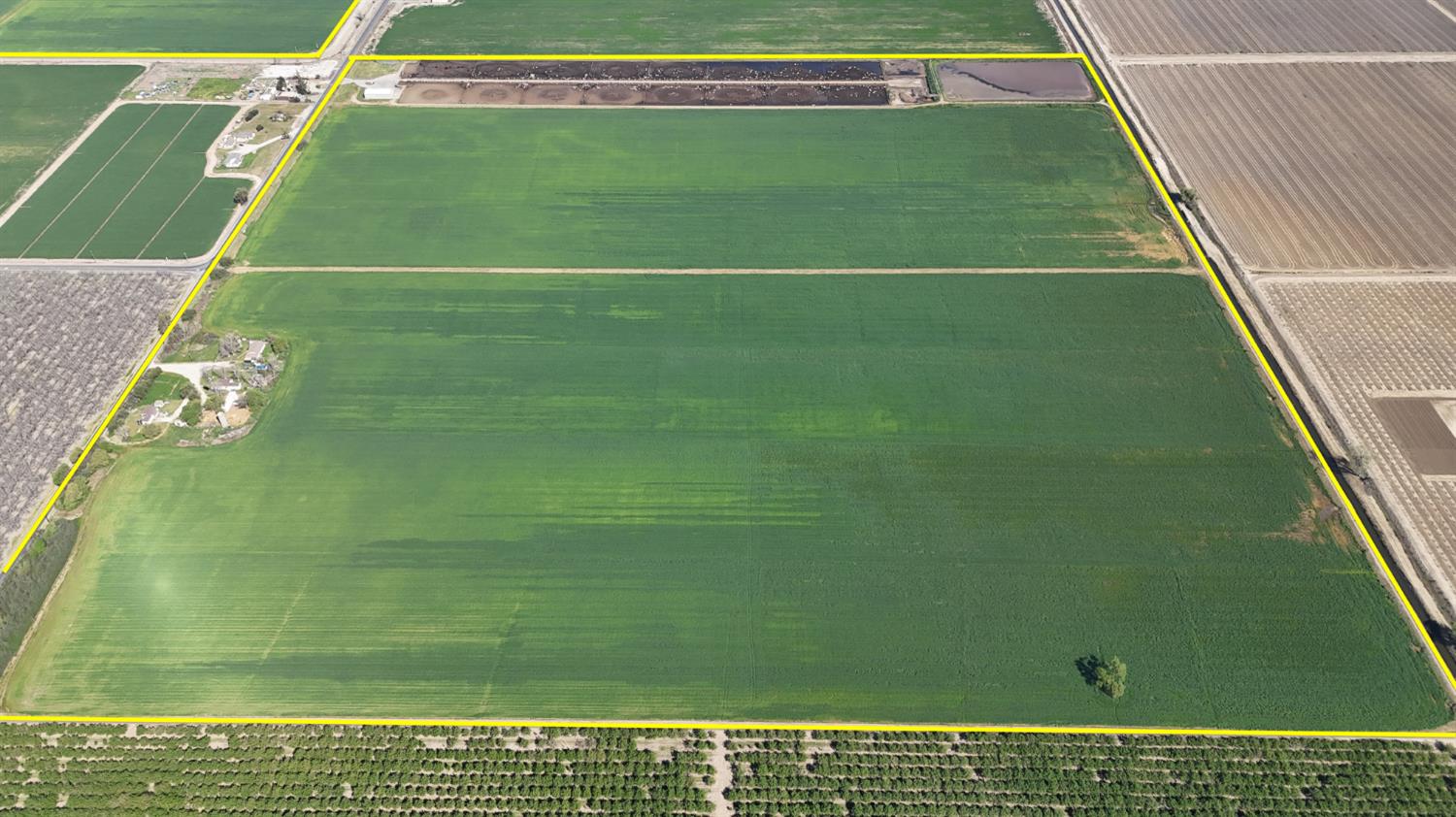 24916 Manteca Road Manteca, CA 95337 - Photo 13 of 18 Gallery Image 13
