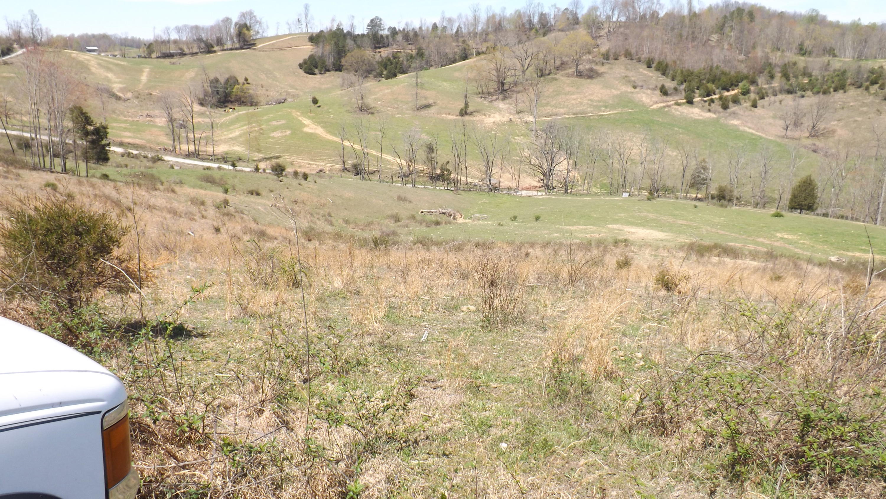 Big Spring Road Harrogate, TN 37752 - Photo 9 of 18 DSCF4029