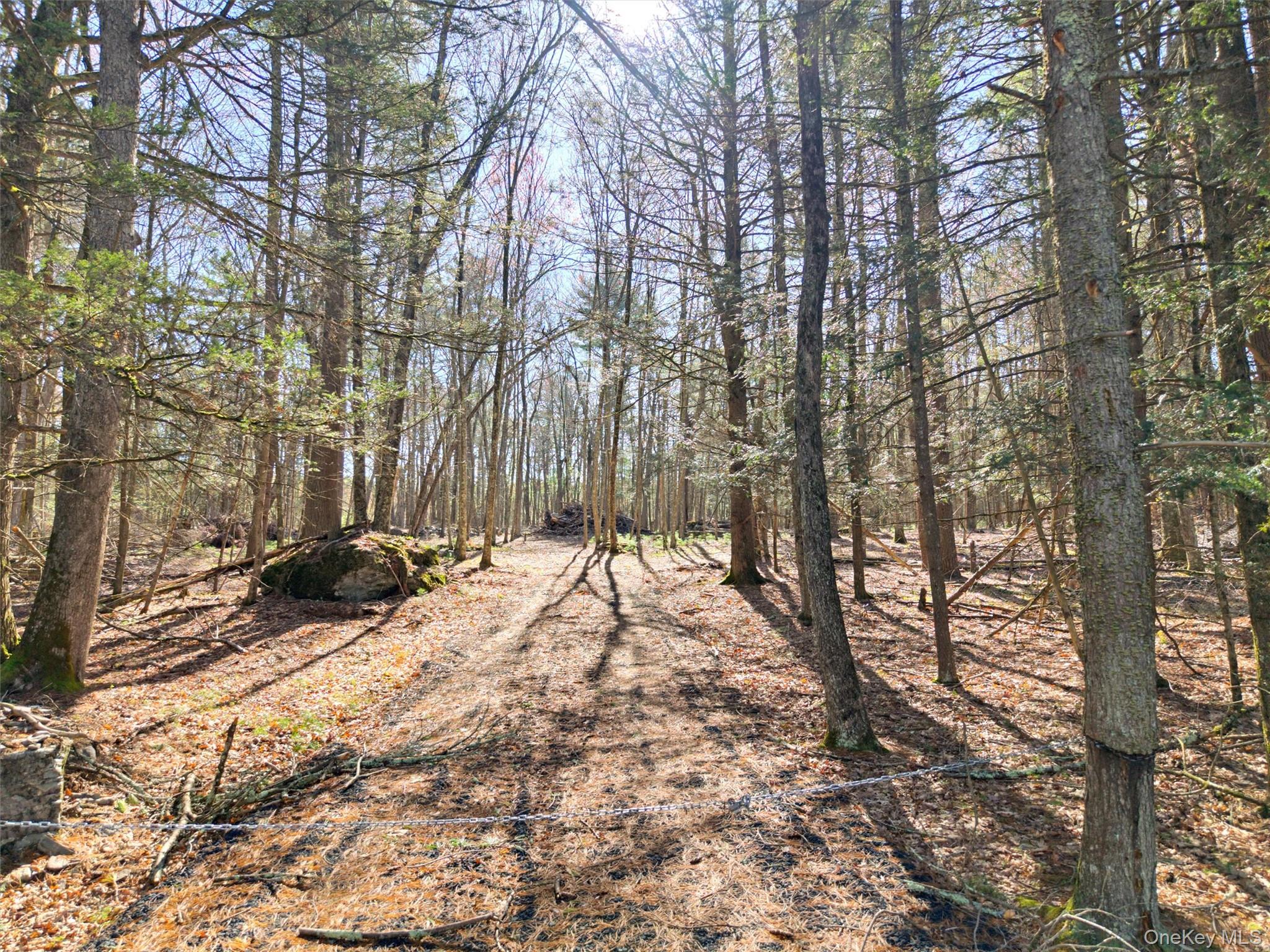 Crawford Road Eldred, NY 12528 - Photo 1 of 15 Gallery Image 1