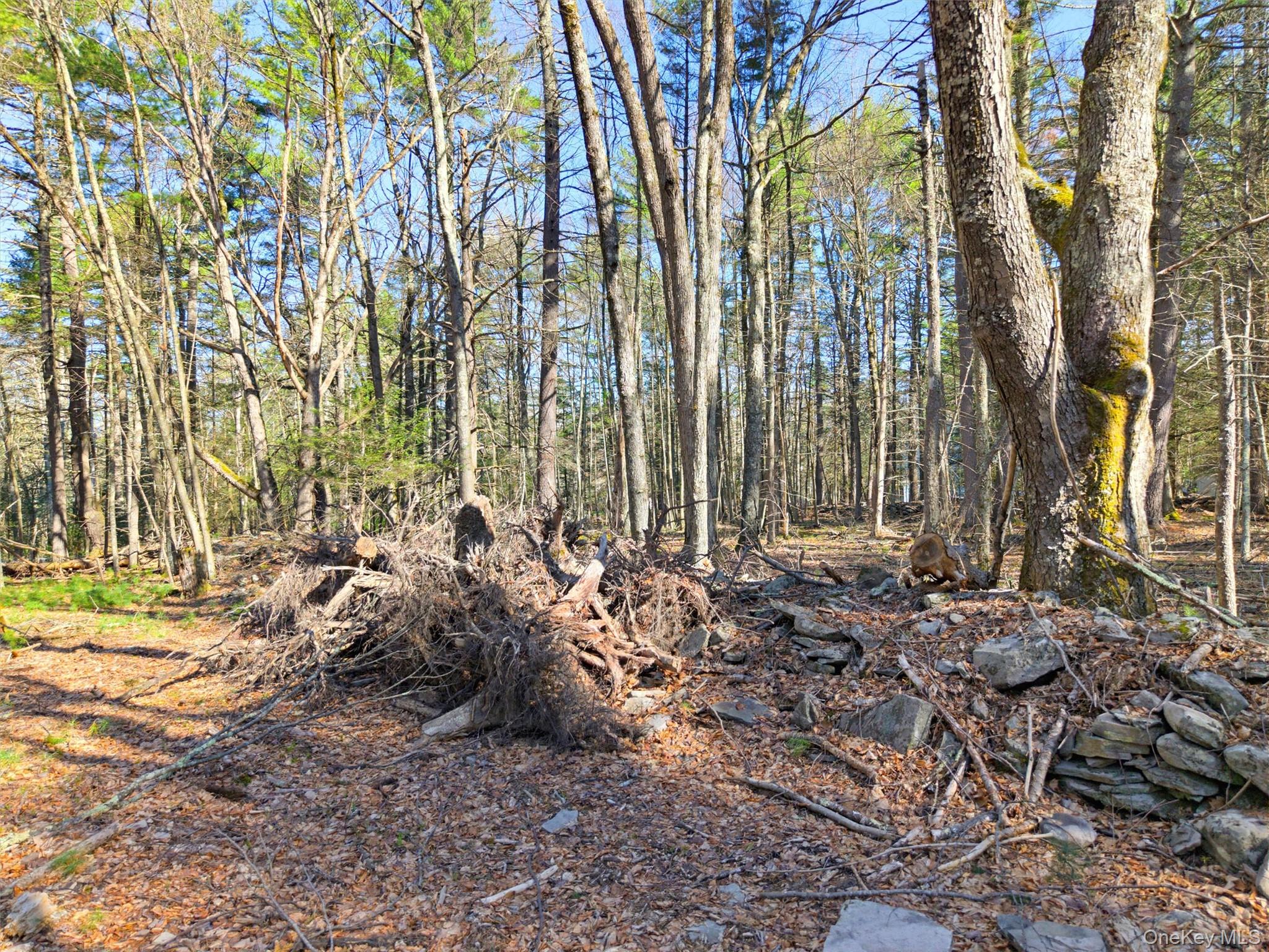 Crawford Road Eldred, NY 12528 - Photo 2 of 15 Gallery Image 2