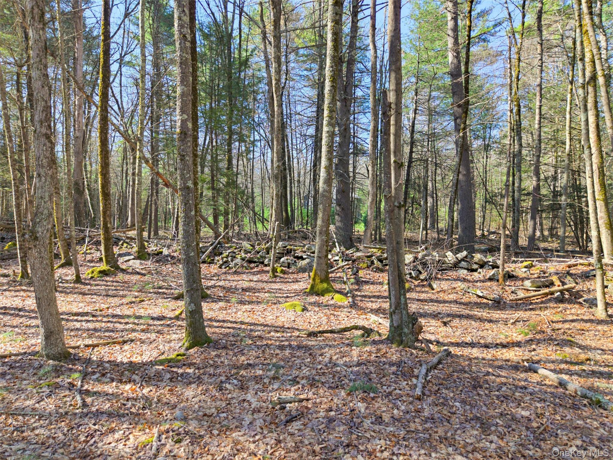 Crawford Road Eldred, NY 12528 - Photo 5 of 15 Gallery Image 5