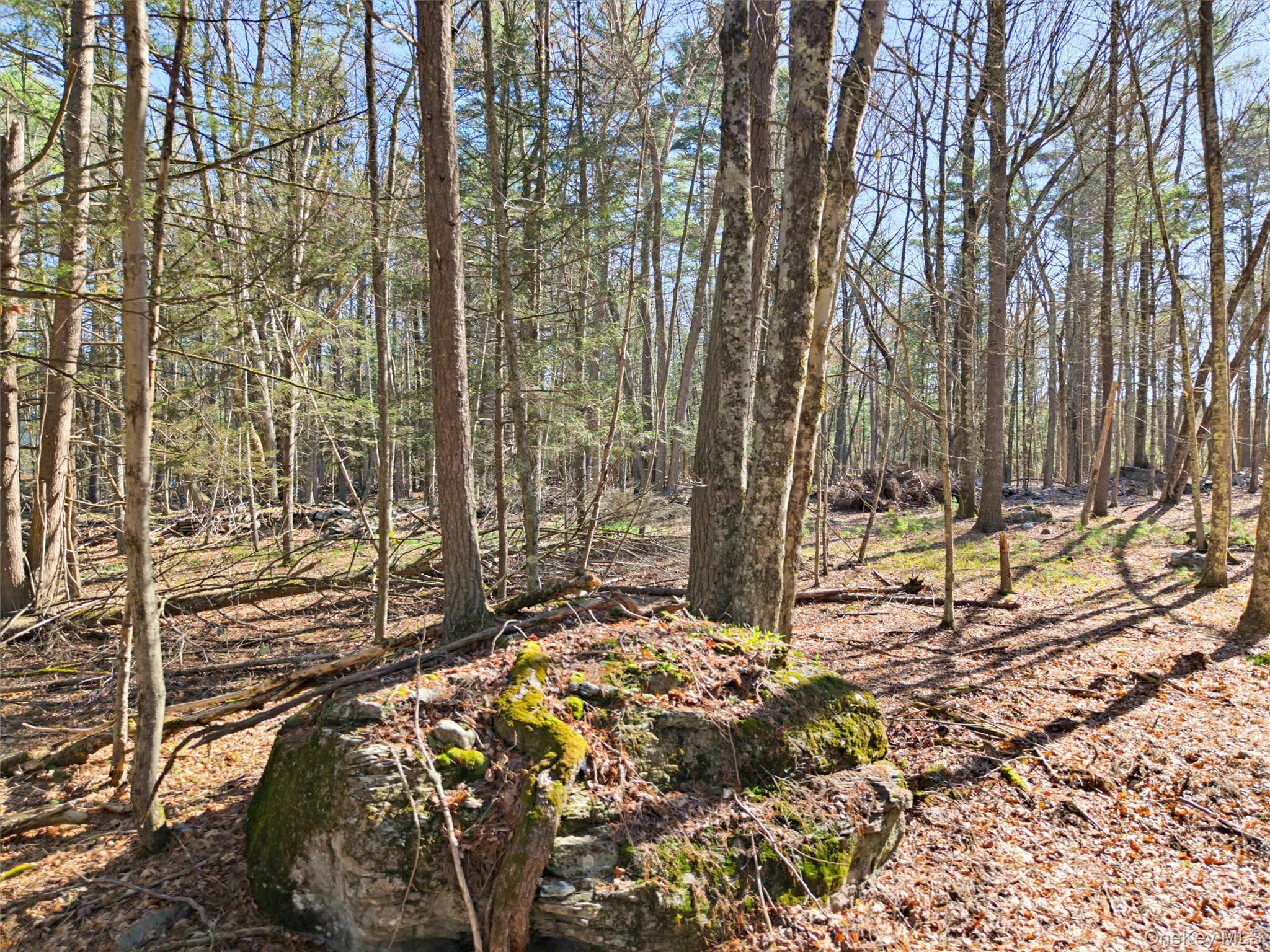 Crawford Road Eldred, NY 12528 - Photo 6 of 15 Gallery Image 6