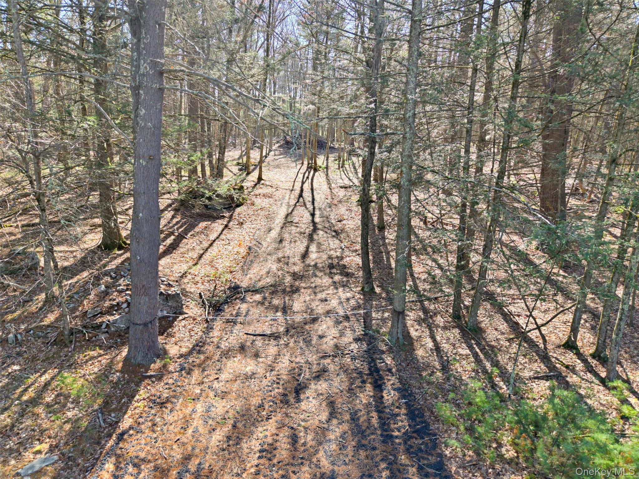 Crawford Road Eldred, NY 12528 - Photo 7 of 15 Gallery Image 7