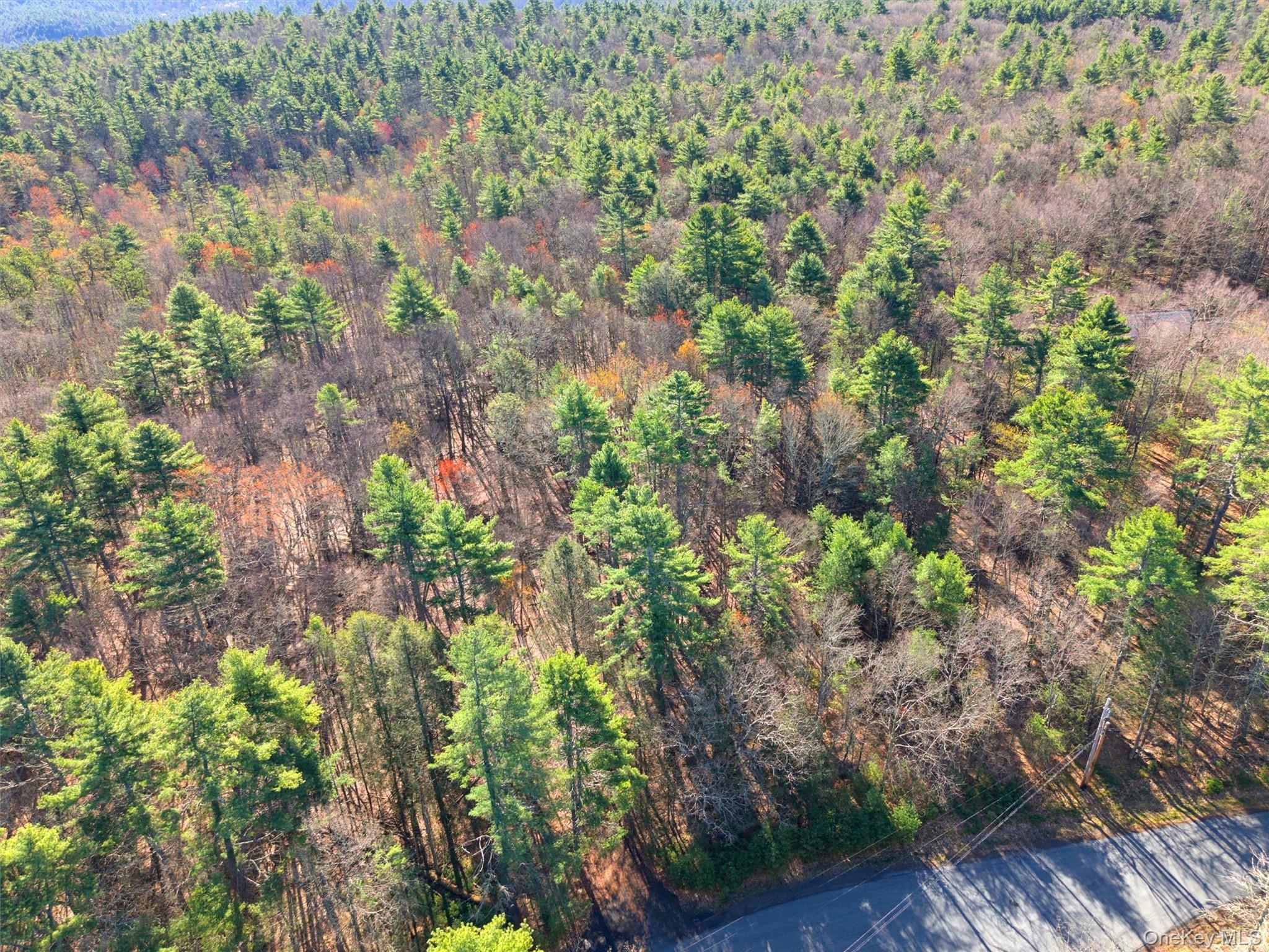 Crawford Road Eldred, NY 12528 - Photo 8 of 15 Gallery Image 8
