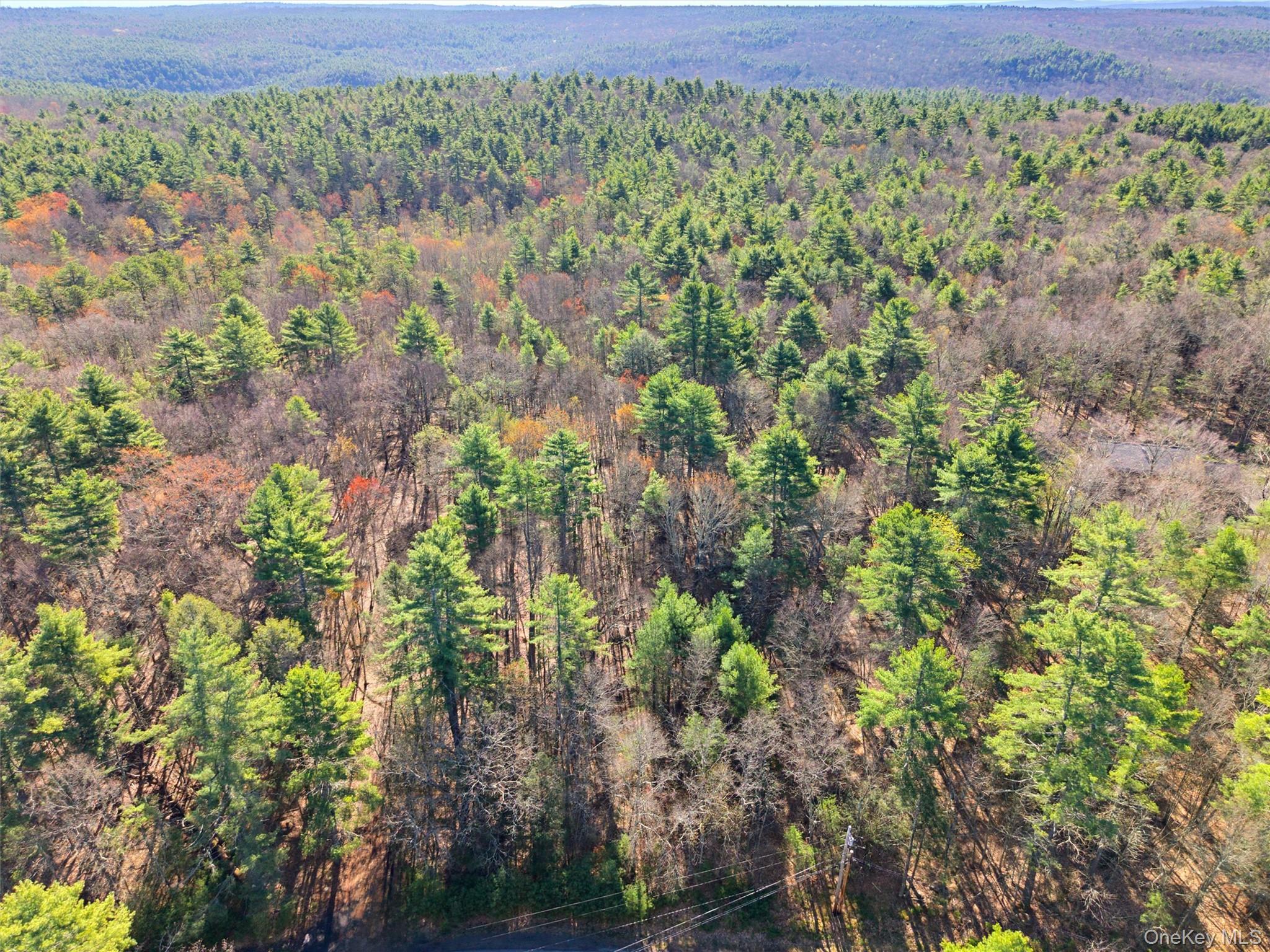 Crawford Road Eldred, NY 12528 - Photo 9 of 15 Gallery Image 9