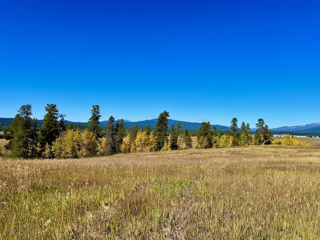 Lot 1 Wood Run Trail, Unit 1 McCall, ID 83638 - Photo 11 of 12