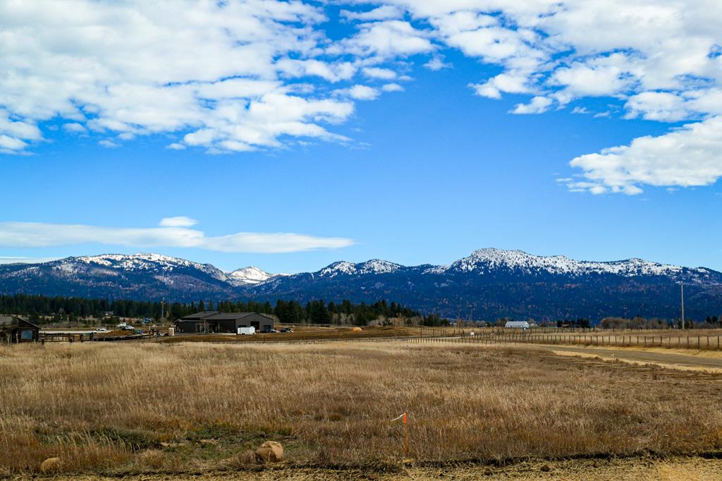 Lot 1 Wood Run Trail, Unit 1 McCall, ID 83638 - Photo 12 of 12