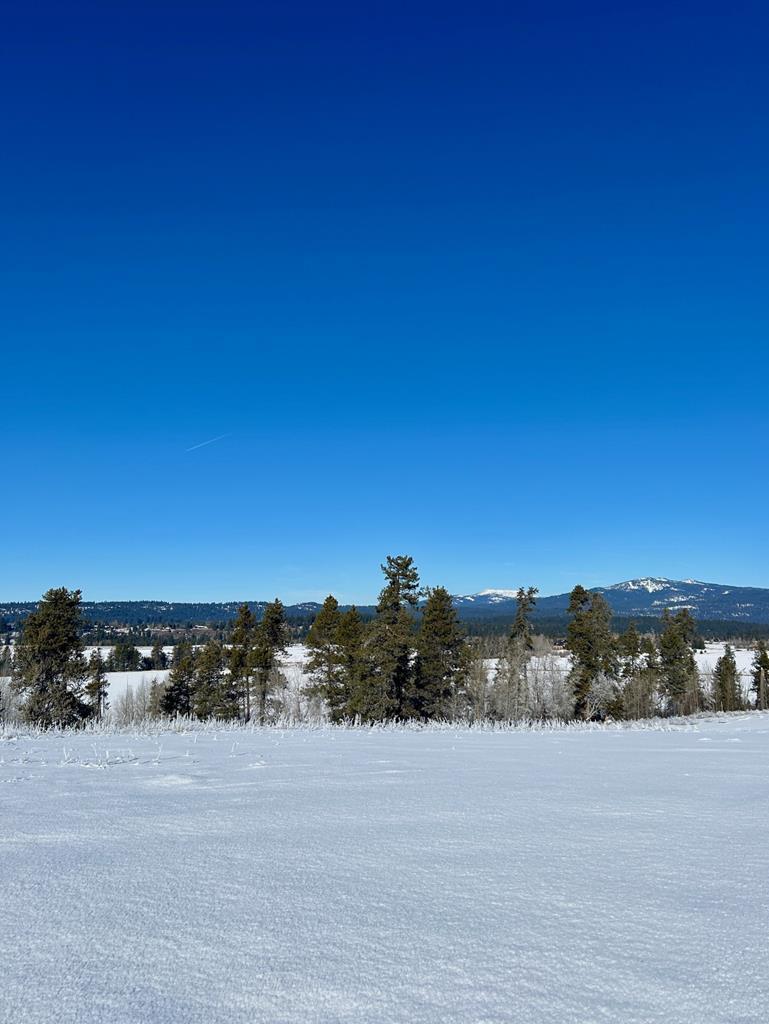 Lot 1 Wood Run Trail, Unit 1 McCall, ID 83638 - Photo 2 of 12