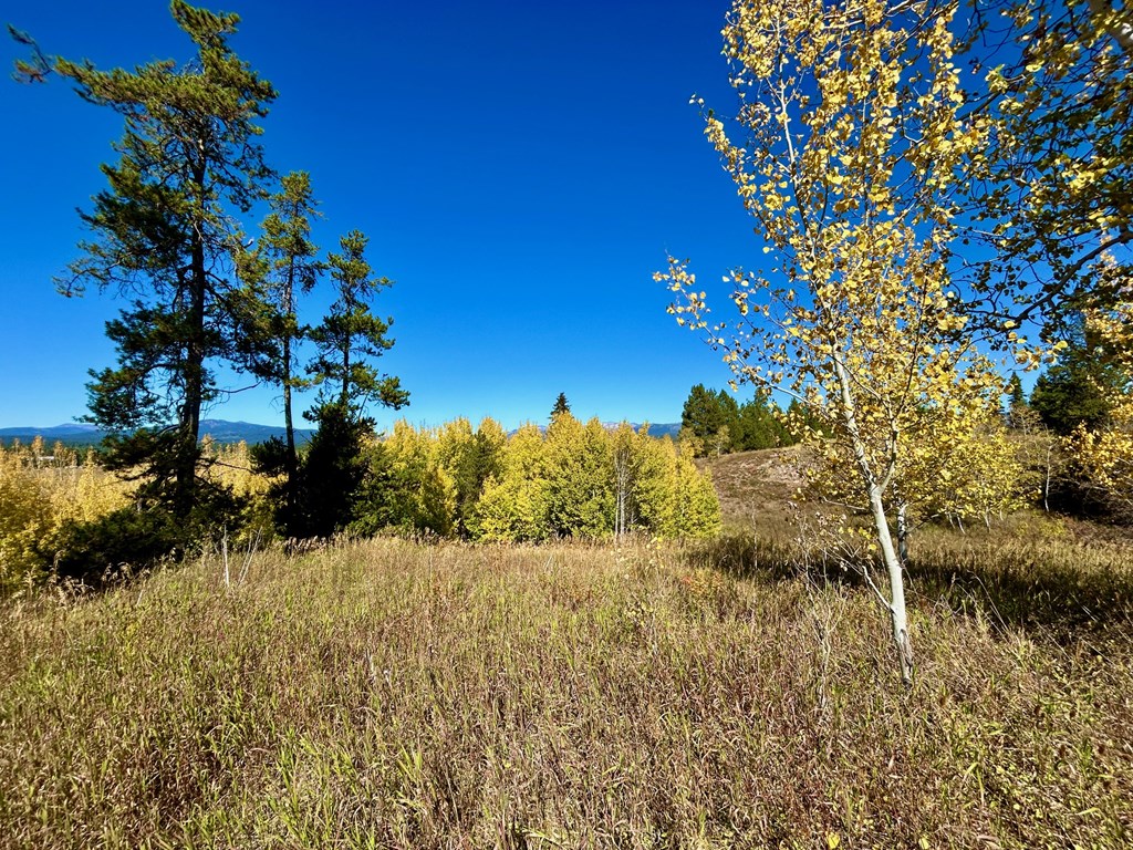 Lot 1 Wood Run Trail, Unit 1 McCall, ID 83638 - Photo 3 of 12