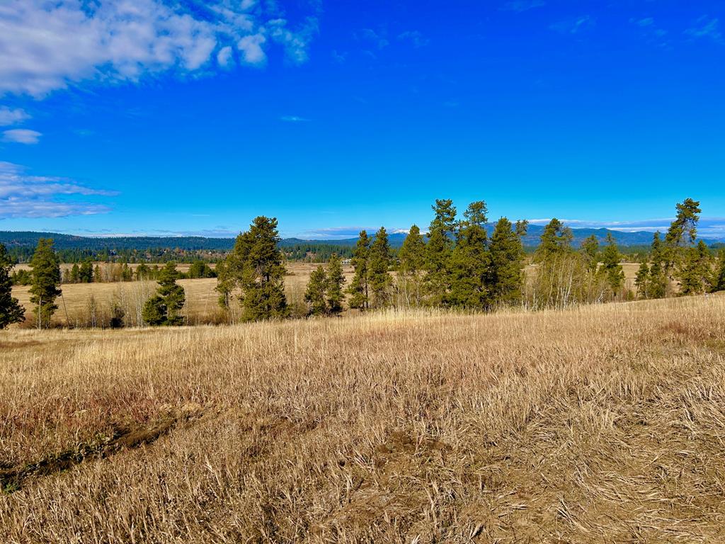Lot 1 Wood Run Trail, Unit 1 McCall, ID 83638 - Photo 8 of 12