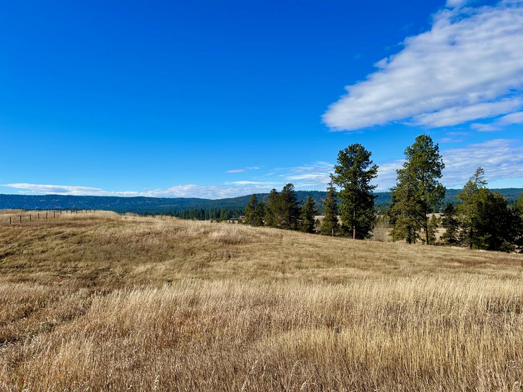 Lot 1 Wood Run Trail, Unit 1 McCall, ID 83638 - Photo 10 of 12
