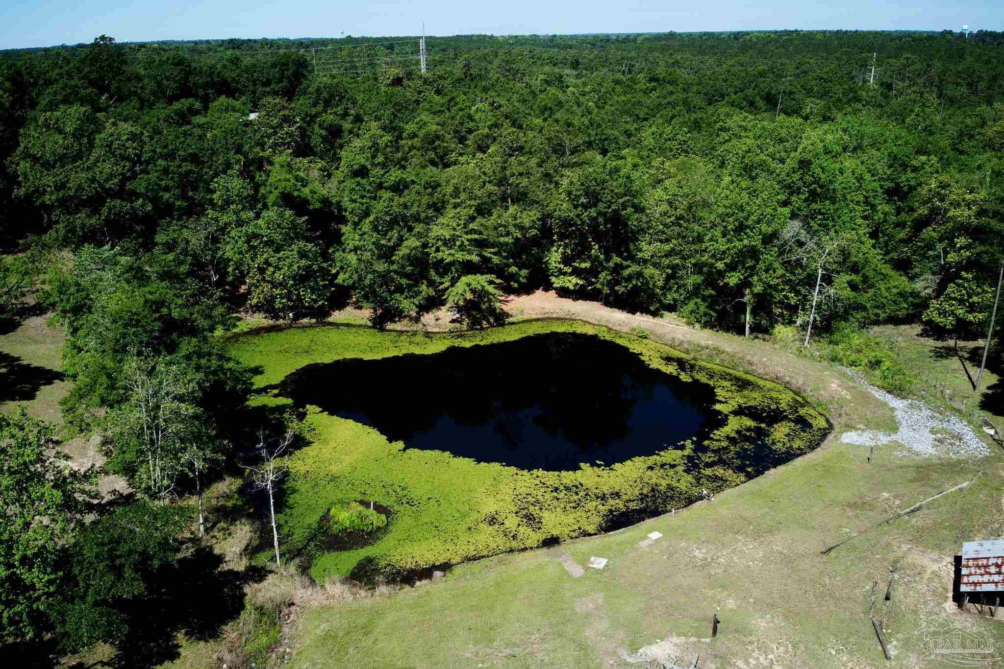 2001 Chavers Road Cantonment, FL 32533 - Photo 63 of 64
