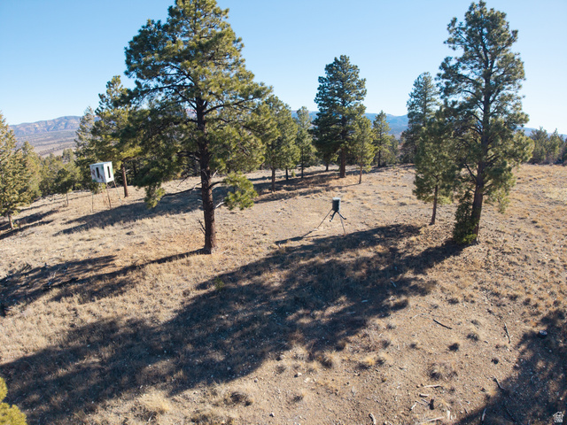 1955 West Mammoth Crk Road Hatch, UT 84735 - Photo 26 of 52 Expansive, arid landscape featuring scattered mature pine trees