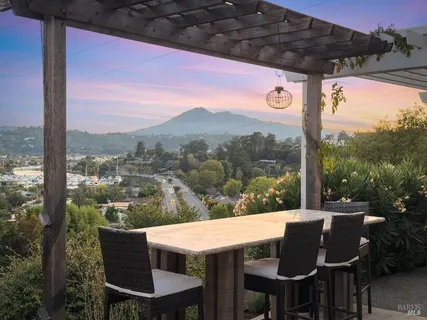 a view of a dining room with furniture a potted plant and wooden floor