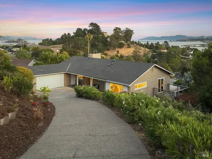 a living room with furniture potted plant and a large window
