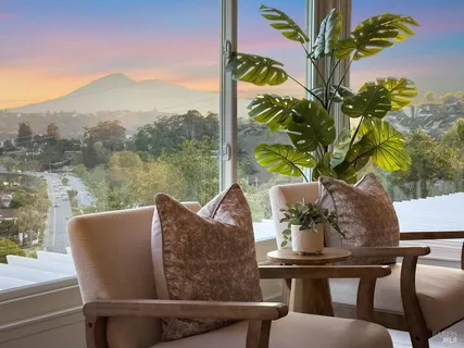 a living room with furniture a fireplace and a potted plant