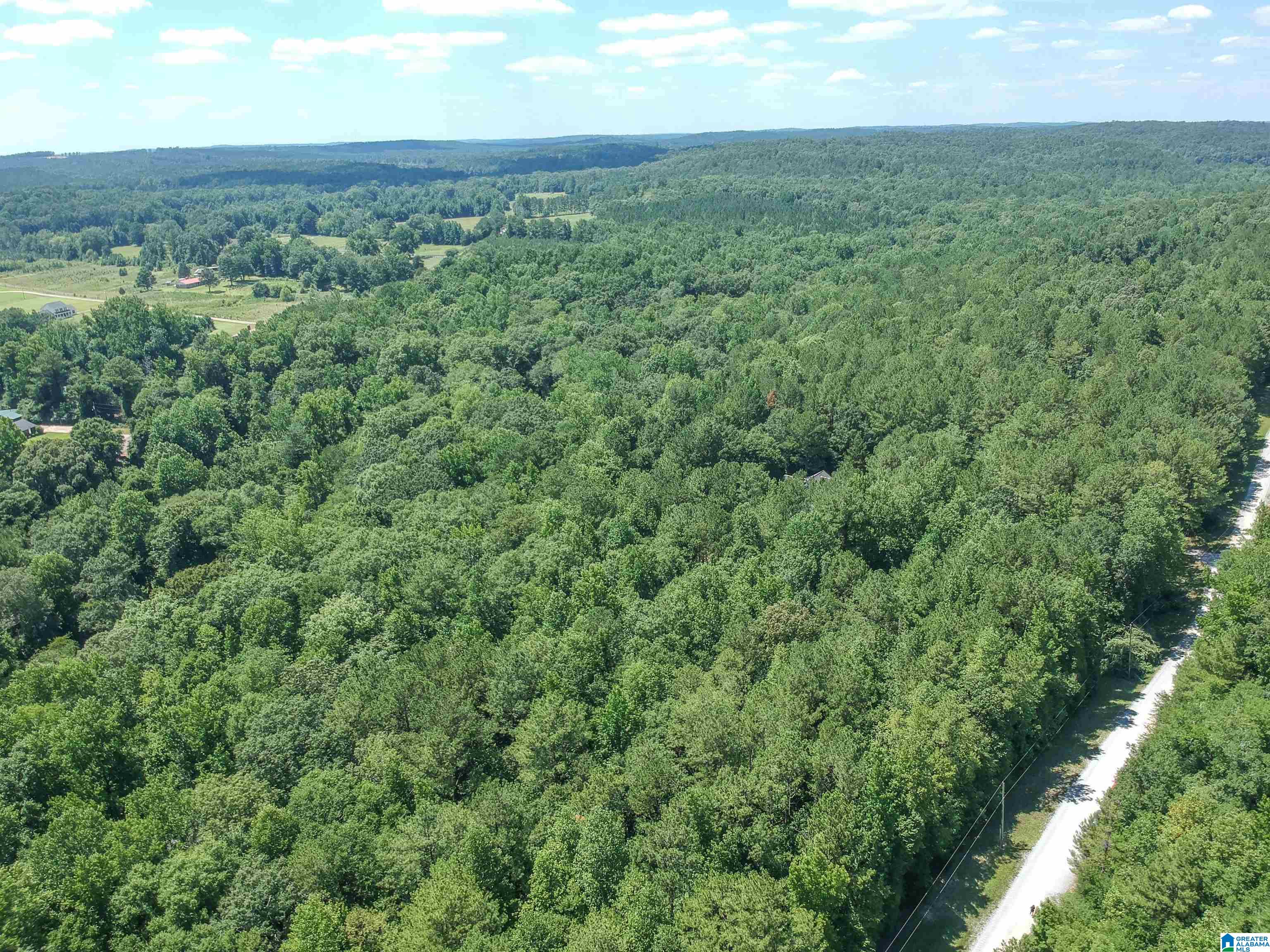 0 Upper Columbus Road Coker, AL 35452 - Photo 5 of 15