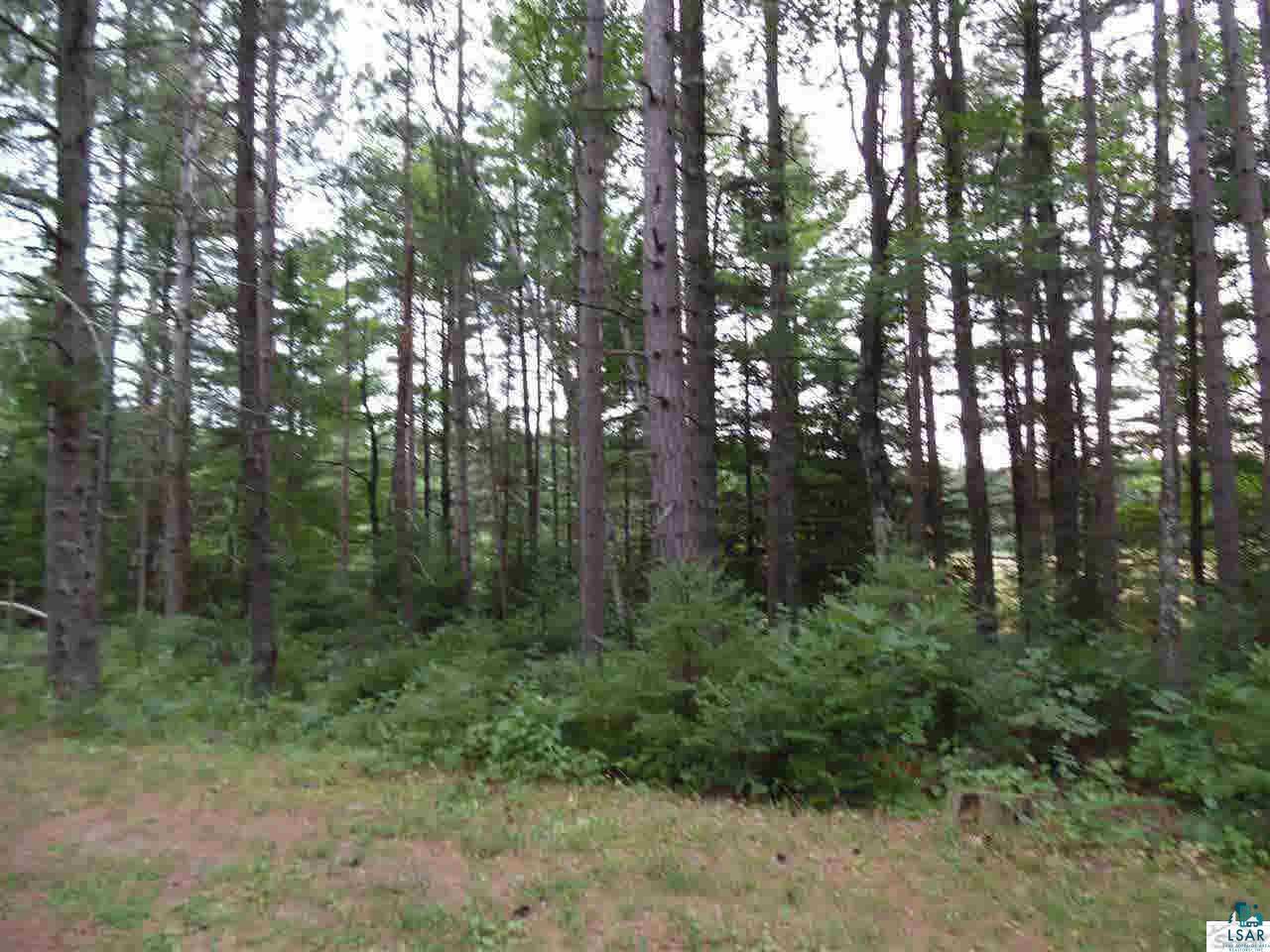 61320 West Fork Road Iron River, WI 54847 - Photo 4 of 9