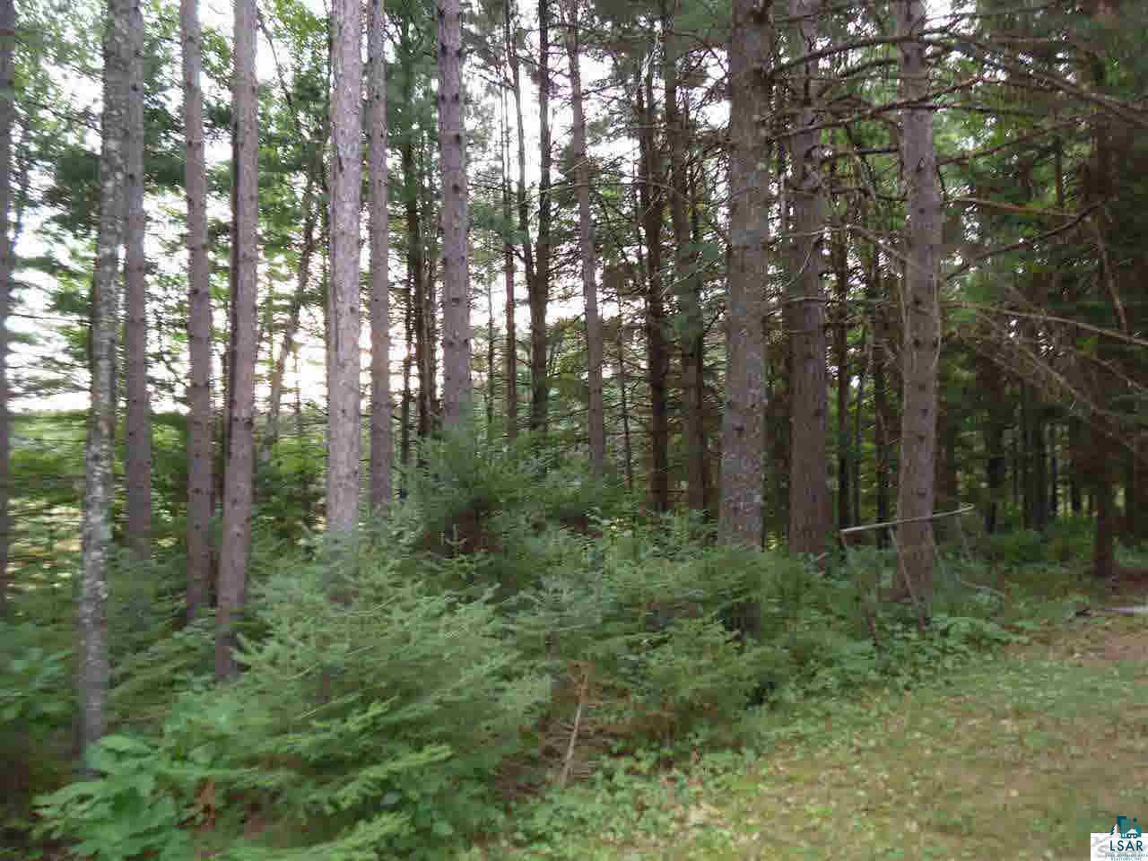 61320 West Fork Road Iron River, WI 54847 - Photo 6 of 9