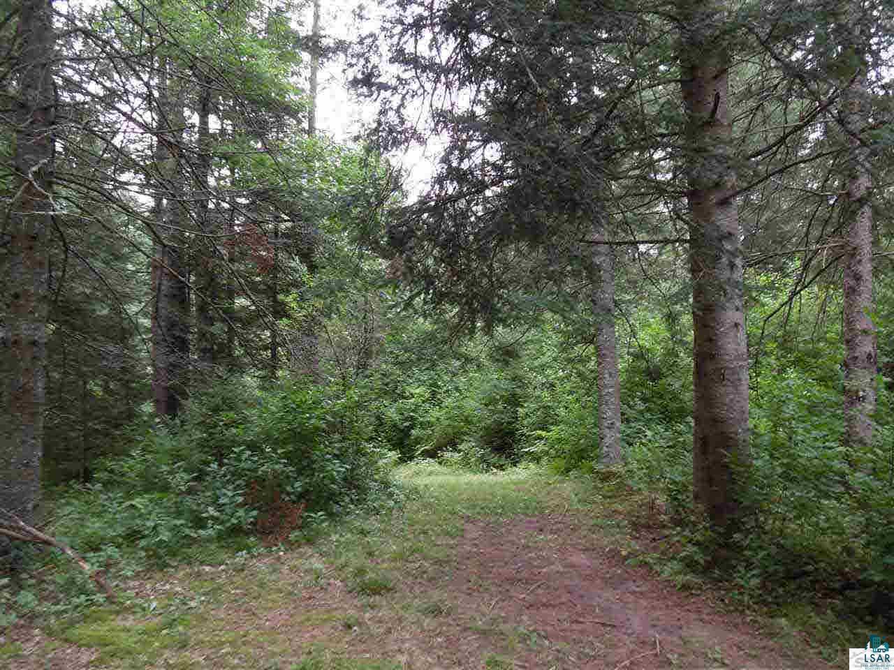 61320 West Fork Road Iron River, WI 54847 - Photo 9 of 9