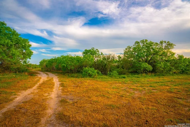 $303,750 | 3305 Cr 129, Kenedy, TX 78119