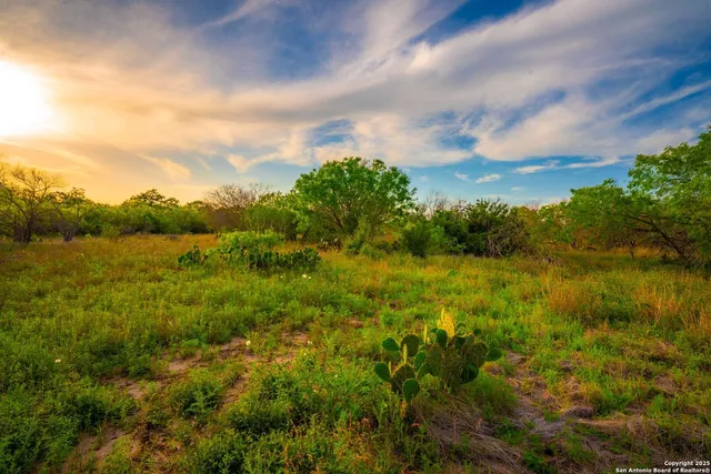 $303,750 | 3305 Cr 129, Kenedy, TX 78119