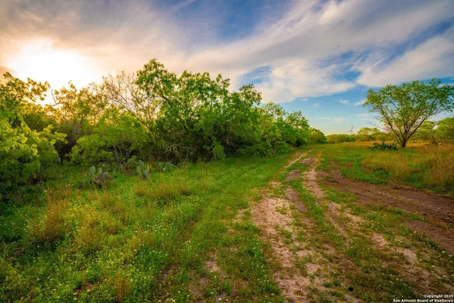 $303,750 | 3305 Cr 129, Kenedy, TX 78119