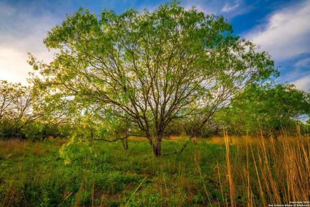 $303,750 | 3305 Cr 129, Kenedy, TX 78119