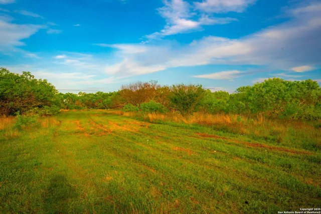 $303,750 | 3305 Cr 129, Kenedy, TX 78119