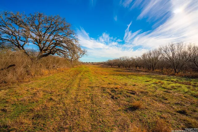 $303,750 | 3305 Cr 129, Kenedy, TX 78119