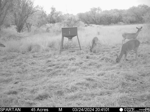 $303,750 | 3305 Cr 129, Kenedy, TX 78119