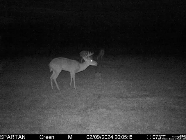 $303,750 | 3305 Cr 129, Kenedy, TX 78119