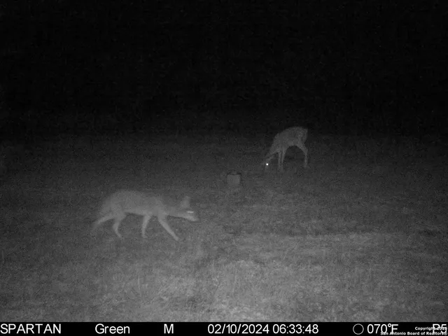 $303,750 | 3305 Cr 129, Kenedy, TX 78119