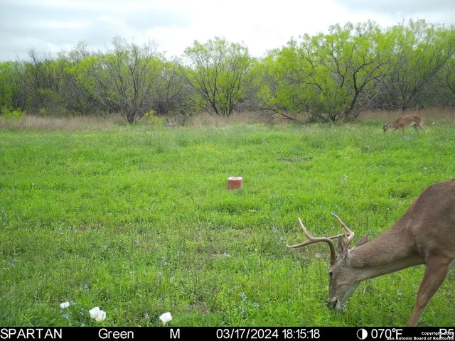 $303,750 | 3305 Cr 129, Kenedy, TX 78119