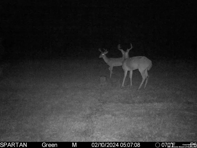 $303,750 | 3305 Cr 129, Kenedy, TX 78119