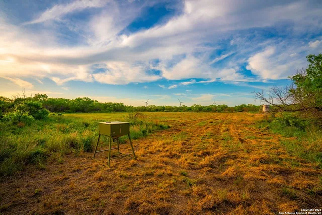 $303,750 | 3305 Cr 129, Kenedy, TX 78119