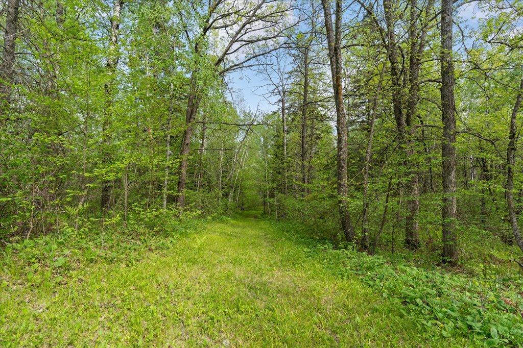 27965 County 7 Park Rapids, MN 56470 - Photo 47 of 57