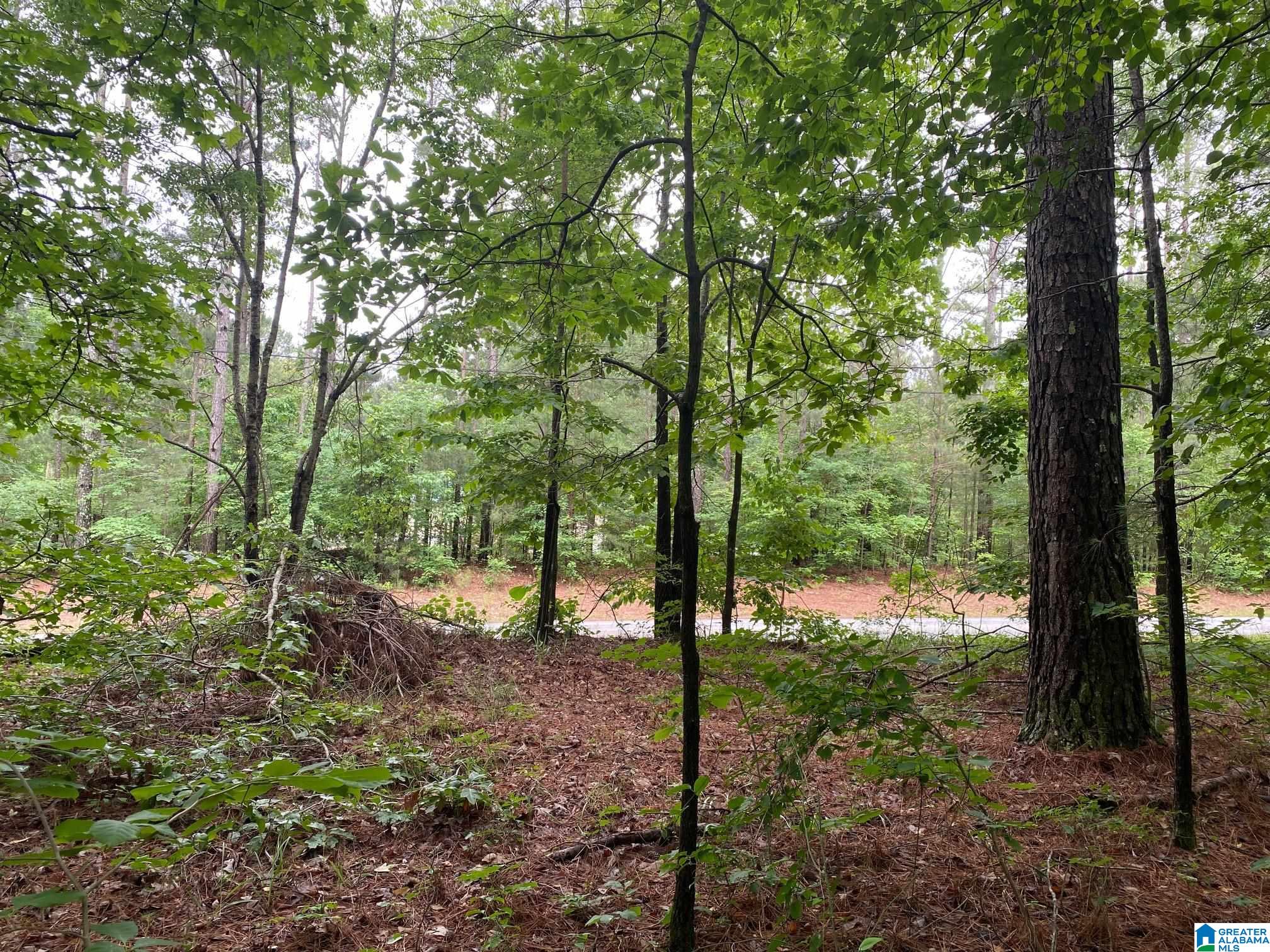 0 Roy Webb Cutoff Road, Unit 2 LOTS Piedmont, AL 36272 - Photo 3 of 10