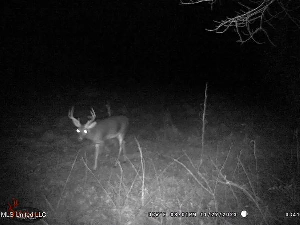 $325,000 | 2270 State Line Road, Tremont, MS 38876