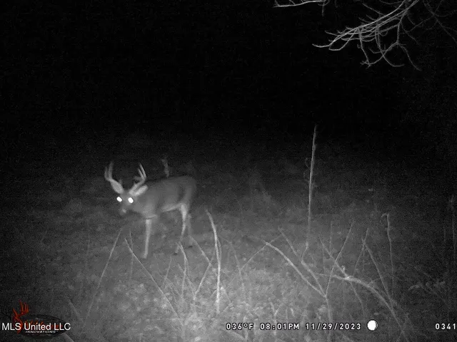 $325,000 | 2270 State Line Road, Tremont, MS 38876